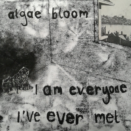 algae bloom - "I am everyone I've ever met" (LP)