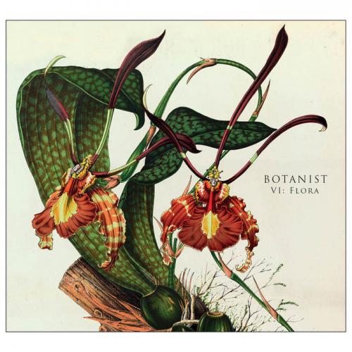 Botanist - "VI: Flora" (LP)