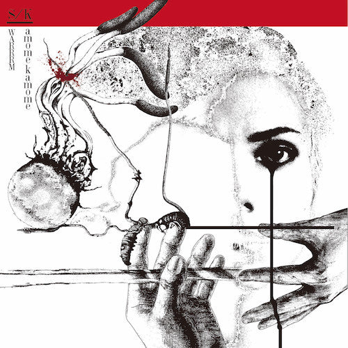 kamomekamome & SWARRRM - "S/K split" (LP:Ltd800)