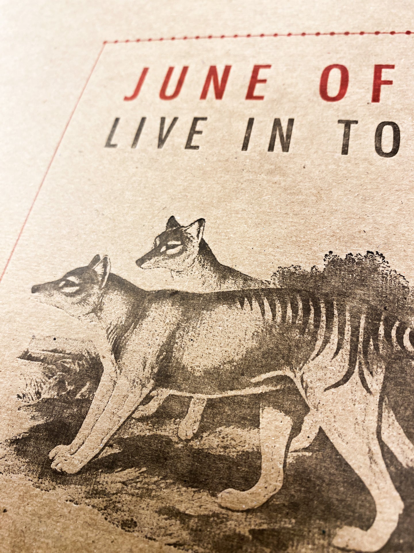June Of 44 - LIVE IN TOKYO (LP : Black)