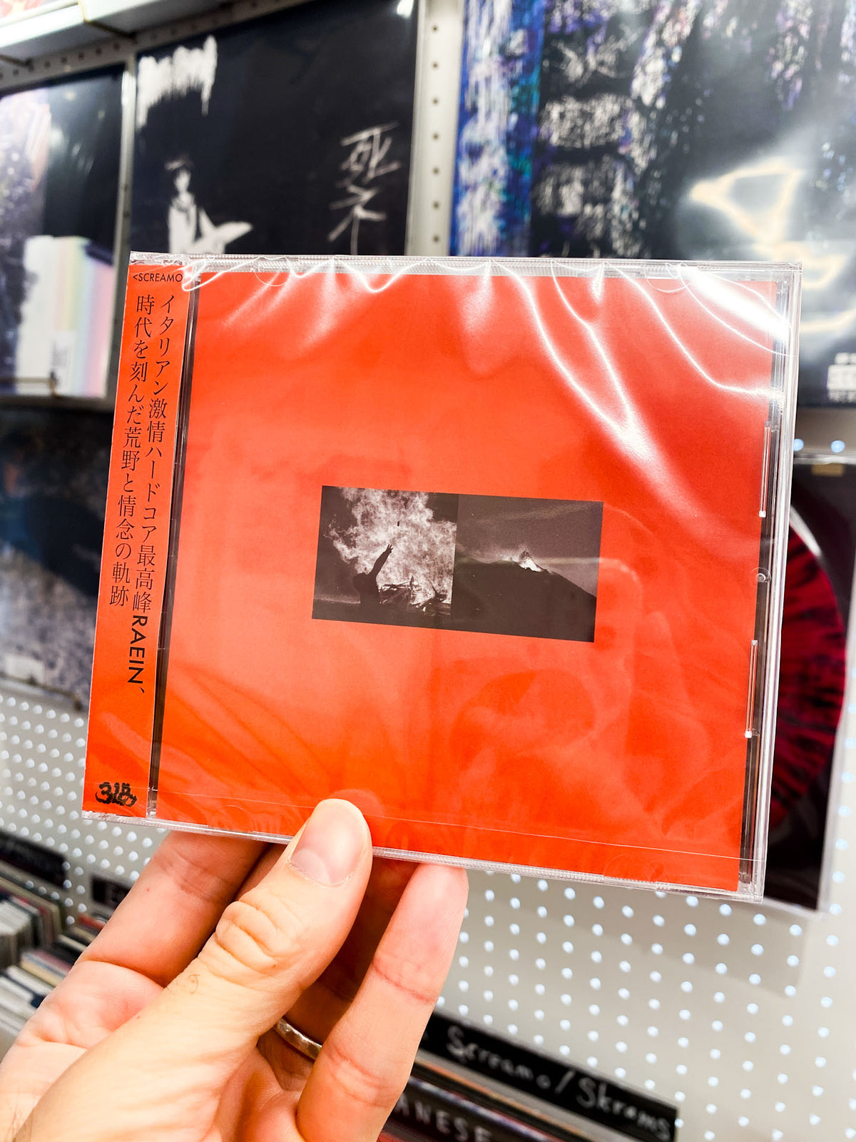 Raein - "A Collection of Splits and EPs 2004 - 2015 / 荒野と情念の軌跡" (CD:w/Obi)