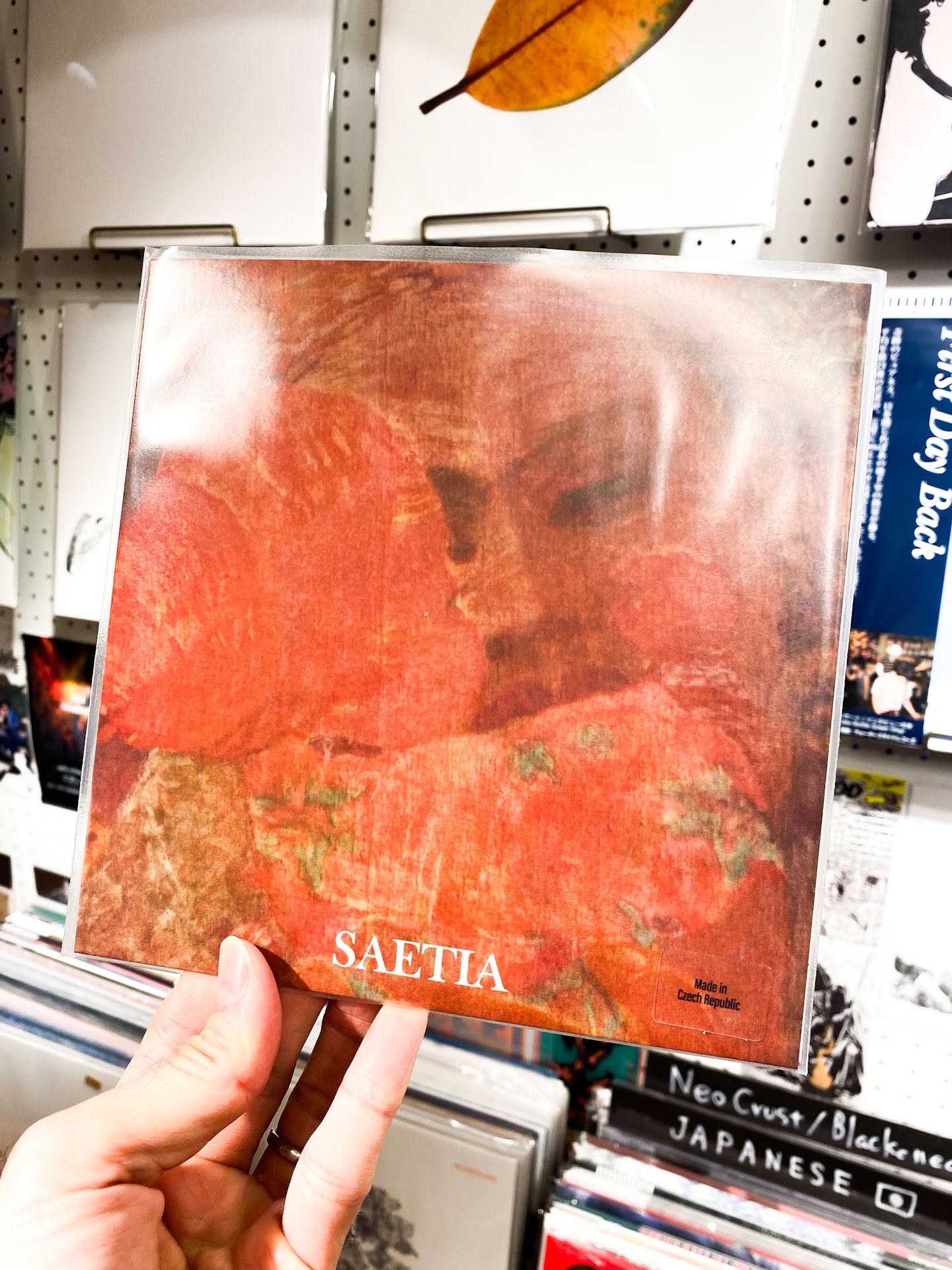 Portraits Of Past + Saetia - "split" (7inch)