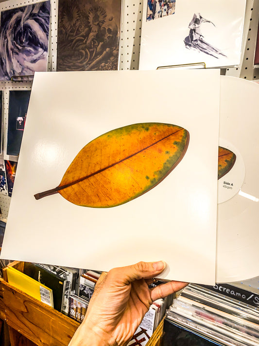 La Quiete - "La Fine Non E La Fine" (LP)