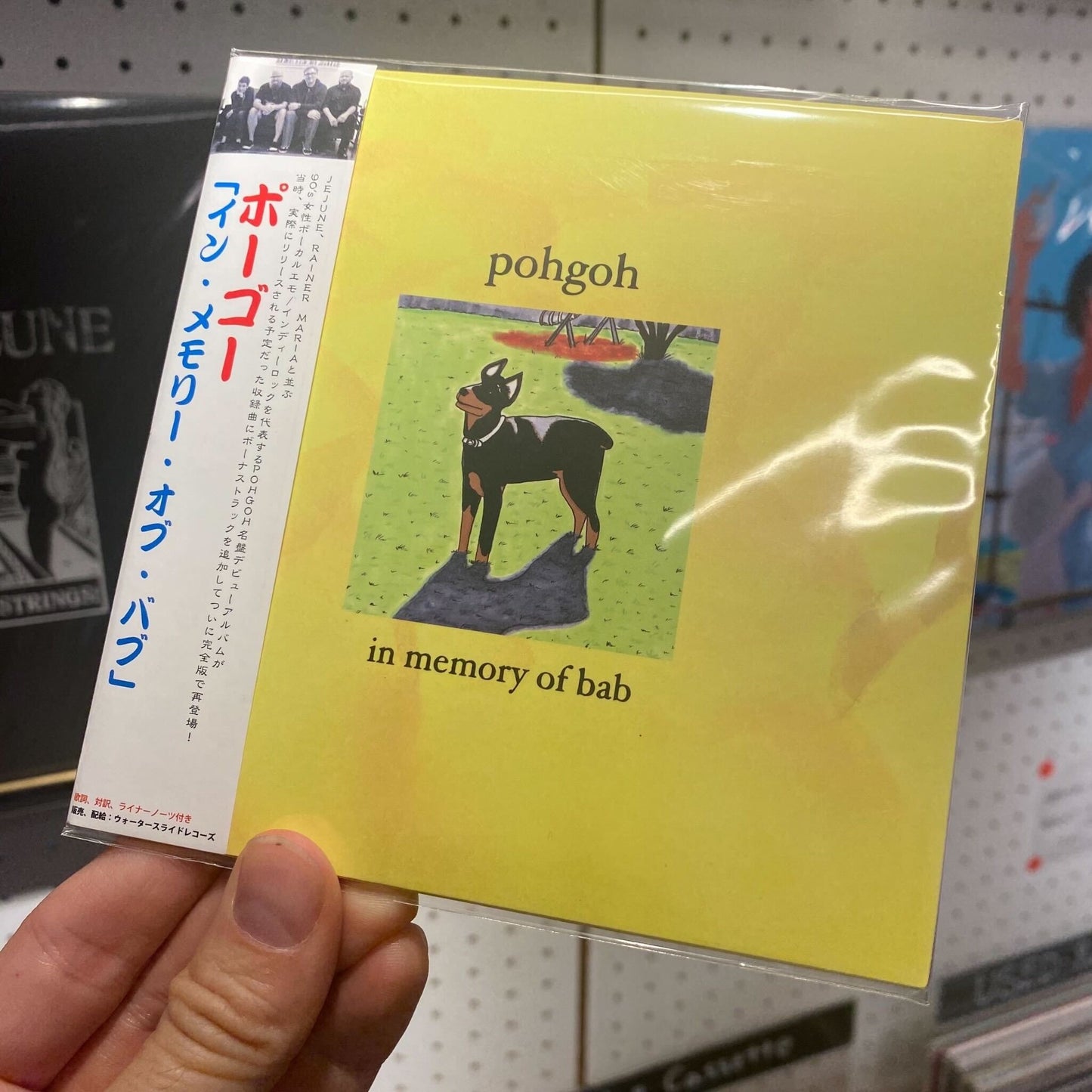 Pohgoh - "In Memory Of Bab" (CD)