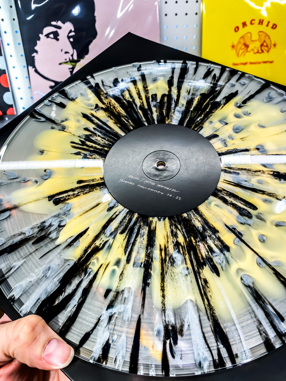 Raein - " Forme Sommerse" (LP : Yellow Splatter)