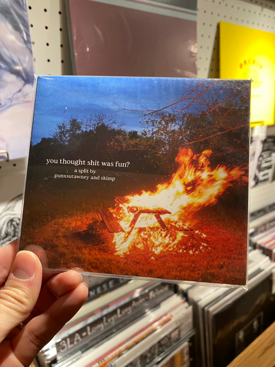 punxsutawney + Skimp - "you thought shit was fun?"(SPLIT CD)